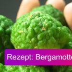 Bergamotte Marmelade Rezept Titelbild
