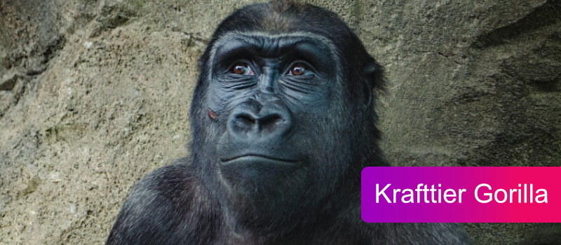 Krafttier Gorilla: spirituelle Bedeutung & Botschaft