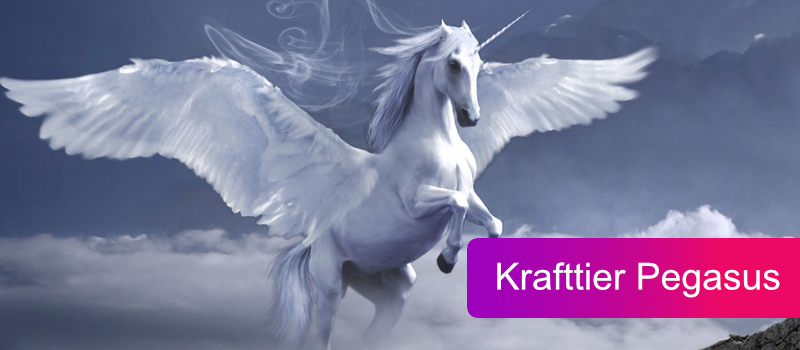 Krafttier Pegasus: spirituelle Bedeutung & Botschaft